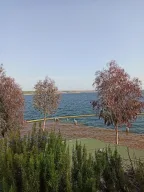 GoIT Türkiye