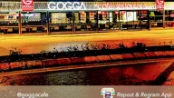 Gogga Cumhuriyet