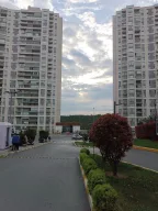 Aparment