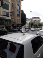 Ziraat Bankası Vatancaddesi Şubesi