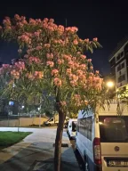 Otel Yaşar