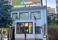 Remedy Veteriner Tıp Merkezi 7/24 Açık ve Acil Nöbetçi Veteriner Kliniği - Veteriner Kardiyoloji, Kuş Veterineri