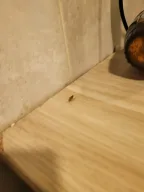 Özyurtlar Best konaklama