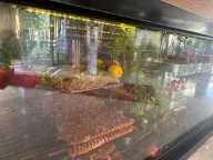 GÜRPINAR DÖNER