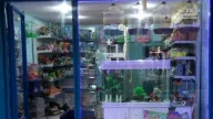 Çatalca Petshop