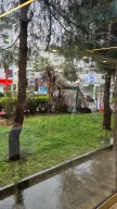 Teiaş Misafirevi
