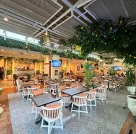 Hadiqa Cafe & lounge