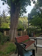 Akbaba Köy Kahvesi