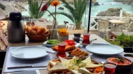 Live Asist Beach Canlı Orman