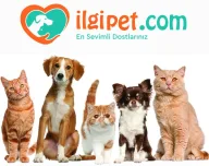 İlgipet