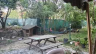 Pansiyon Apart