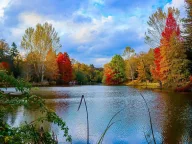 Atatürk Arboretumu