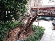 My Home Garden