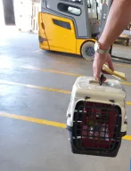 Yen Lojistik Tic. Ltd.Şti