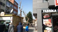 Elvan Fabrika Satış Mağazası
