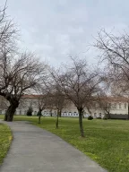 Yıldız Teknik Üniversitesi, Davutpaşa Kampüsü, Orta Bahçe