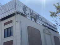 MapEx Uluslararası Kargo