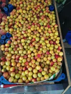 Namli Market