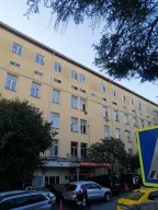 İstanbul Üniversitesi Çapa Tıp Fakültesi Allerji Ve İmmunoloji Bilim Dalı