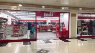 Tedi