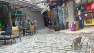Çanta tamiri Şenderiçanta