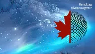 MSM Global Lojistik | Havayolu Taşımacılığı, Karayolu Taşımacılığı, Denizyolu Taşımacılığı