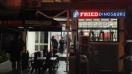Fried Dinosaurs