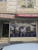 Alnur lojistik