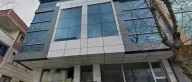 ZG Limited
