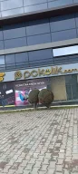 PcKolik