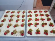 Sıla Pastaneleri