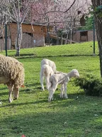 Özel Batı Yıldızı Atakent Anaokulu