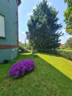 Kestane Konuk Evi