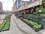 Pendık Ucuzluk Pazarı