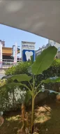 Dentpoint Ağız Ve Diş Sağlığı Polikliniği