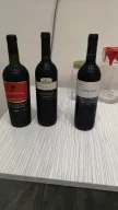 sevimli pansiyon