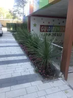 Gulderenler Anaokulu