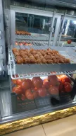 Yakuplu Doğuş Lojistik