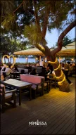 Mimossa Cafe & Restaurant