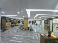 Doğadiş Zeytinburnu