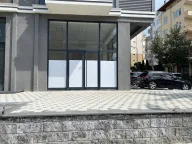 Kartal ecente