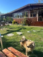 İpek Koza Motel
