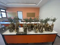 Taze Çiçek