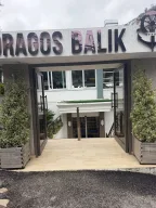 Dragos Balık