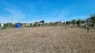 Seçilir Süt ve Süt Ürünleri