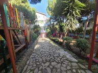 Özel Kartal Dragos Yuvam Anaokulu