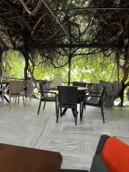 Kameriye Kafe Çay Bahçesi