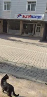 Sürat Kargo Firüzköy Şubesi