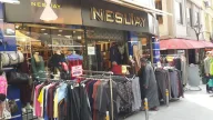 Nesliay