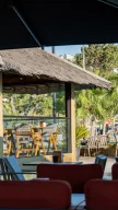 Festival Cafe